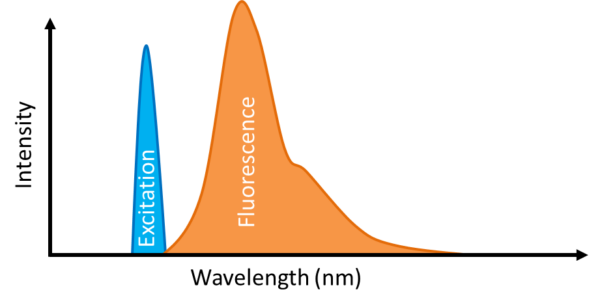 FluorescenceSpectra Fluorescensspektre